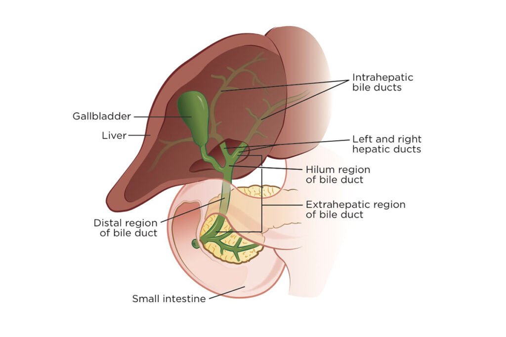 Bile duct cancer surgery in Bangalore